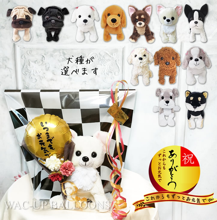 敬老 長寿 花 ギフト プレゼント チワワ ダックス マルチーズ