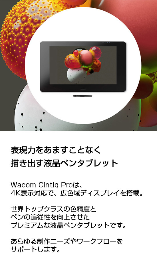 Wacom Cintiq Pro 24 (DTH-2420/K0) ワコム 液晶 ペンタブレット : dth-2420-k0 : 公式ワコムストア  Yahoo!店 - 通販 - Yahoo!ショッピング