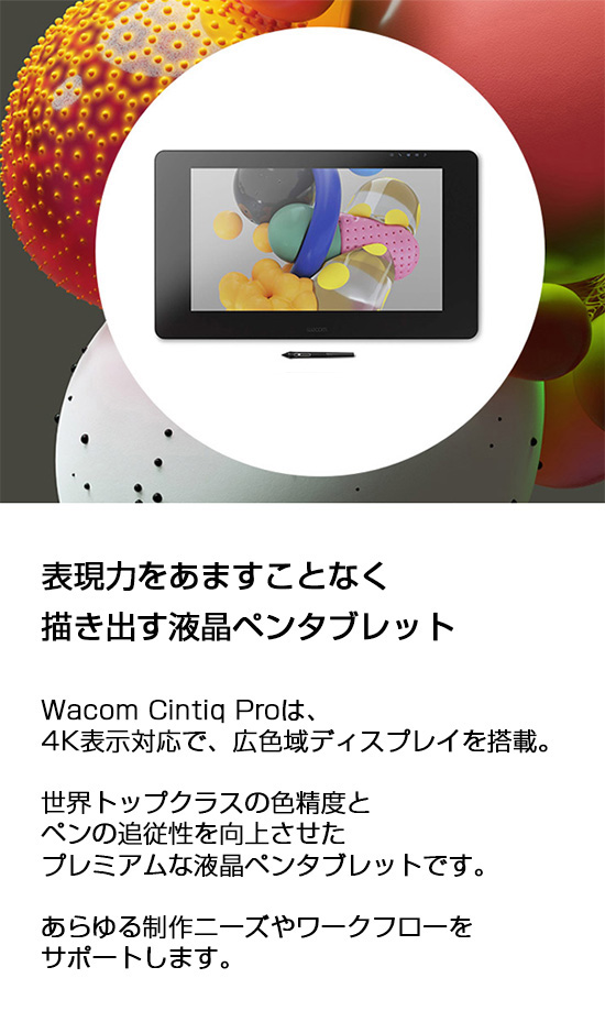 Wacom Cintiq Pro 24 ペンモデル (DTK-2420/K0) ワコム 液晶 ペン 