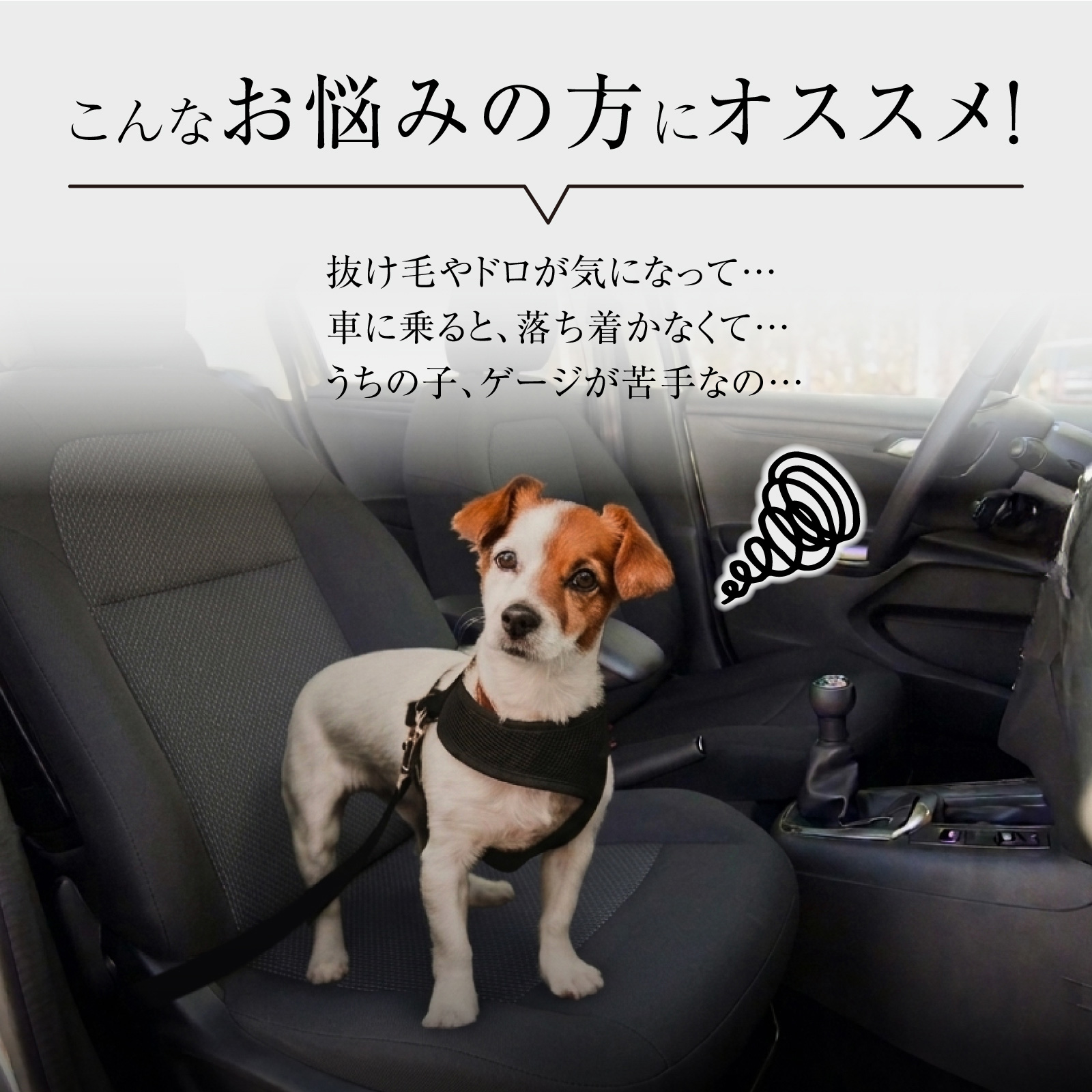 ペットドライブボックス ペットドライブシート ペットシートカバー 車