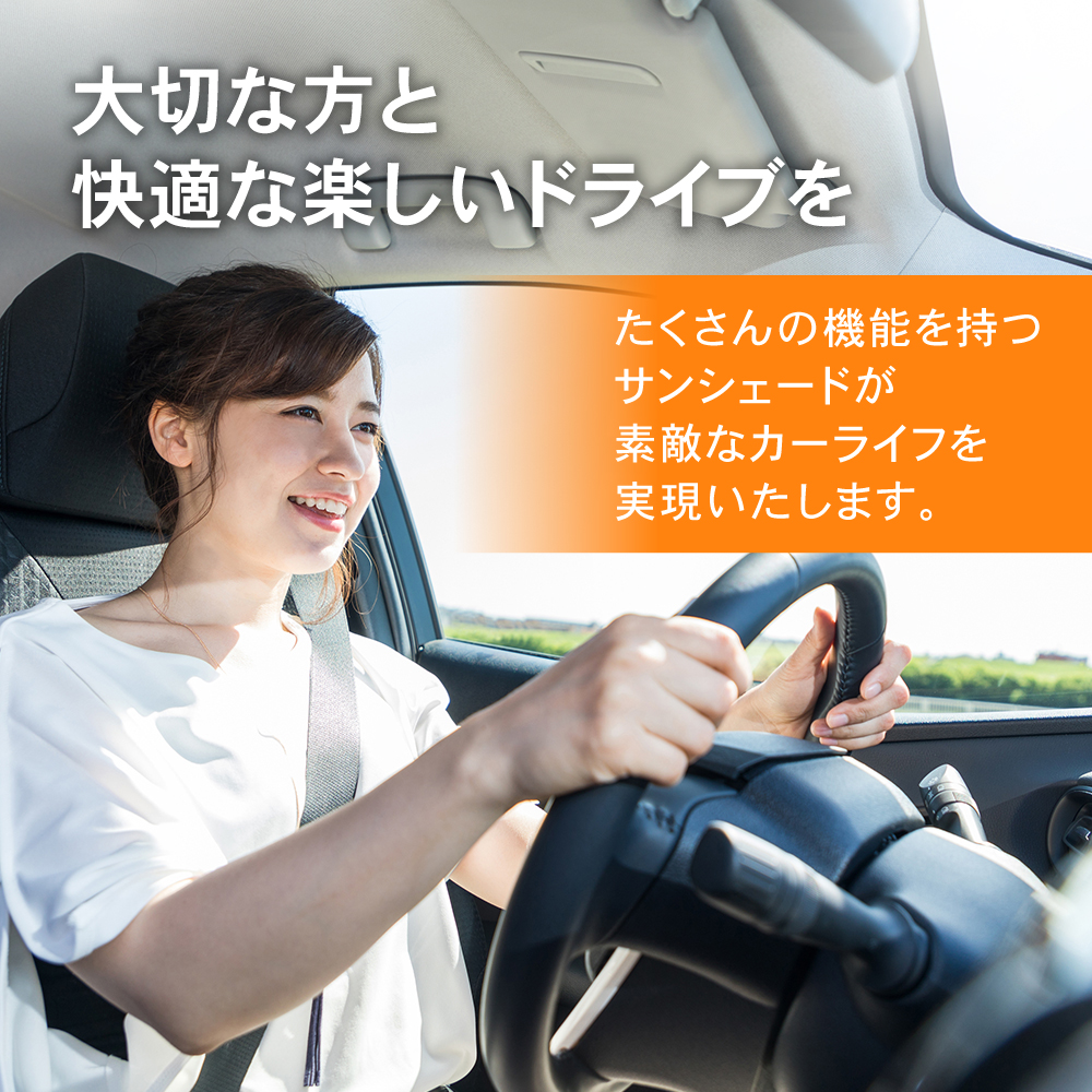 楽天市場】プラド 150 サンシェード フルセットの通販