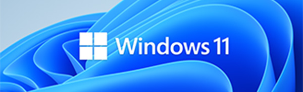 Windows11