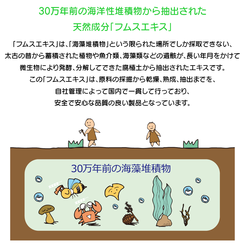 カタライザー ミストスプレー 100mL 1本 糖鎖 天然ミネラルエキス 野口