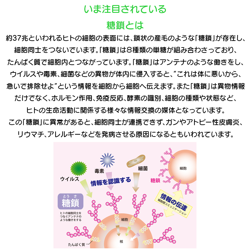 カタライザー ミストスプレー 100mL×3 3本 糖鎖 天然ミネラルエキス