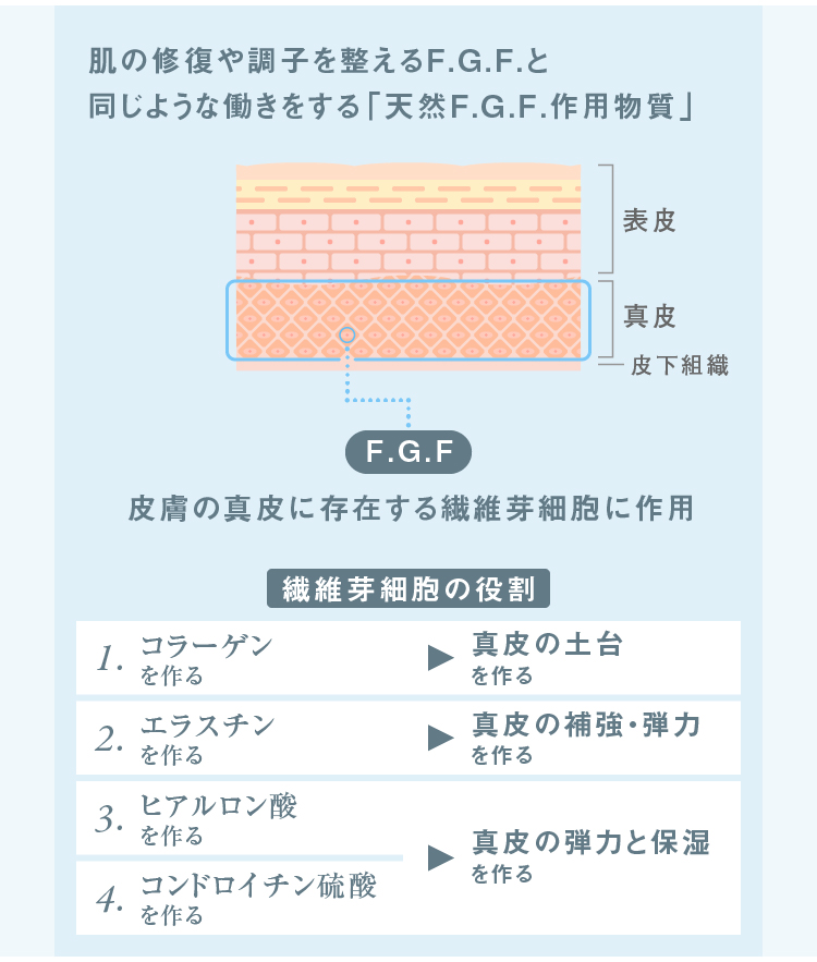 燕の巣 ドリンクSP 30ml×10本 美津村 燕窩エキス ツバメの巣 つばめの巣 シアル酸 糖鎖 エイジングケア ヒアルロン酸 コラーゲン インナーケア｜wafg｜06