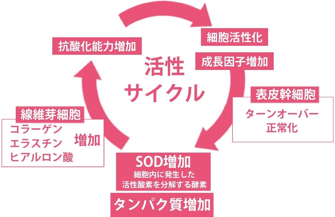 ドクターソワ SAIBOW マスク 75ml/5枚入 フェイスパック サイボウシリーズ DR.SOIE 基礎化粧品 オールインワン スキンケア ※ アマランスよりリニューアル :drsoie-15:ウォームフィーリング - 通販 - Yahoo!ショッピング
