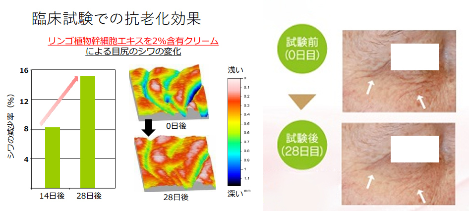 ドクターソワ SAIBOW マスク 75ml/5枚入 フェイスパック サイボウシリーズ DR.SOIE 基礎化粧品 オールインワン スキンケア ※ アマランスよりリニューアル :drsoie-15:ウォームフィーリング - 通販 - Yahoo!ショッピング