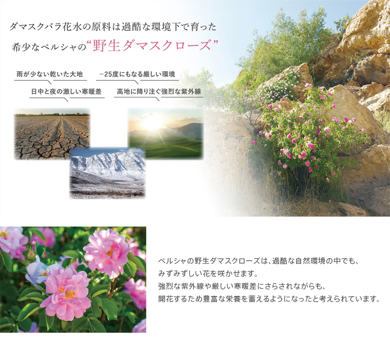 ミューフル プレミアムナチュレ クレンジング 1000g 全成分自然由来