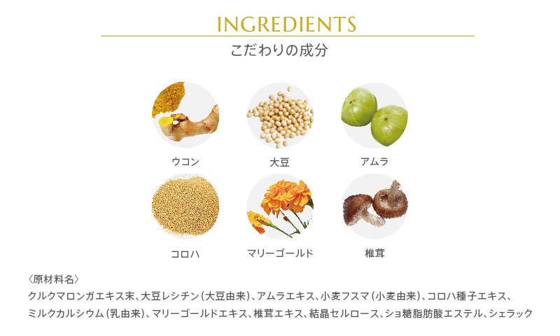 ミューフル クルクミン99&ルテイン 45g サプリメント 植物エキス含有加工食品 ウコン マリーゴールド ルテイン_4