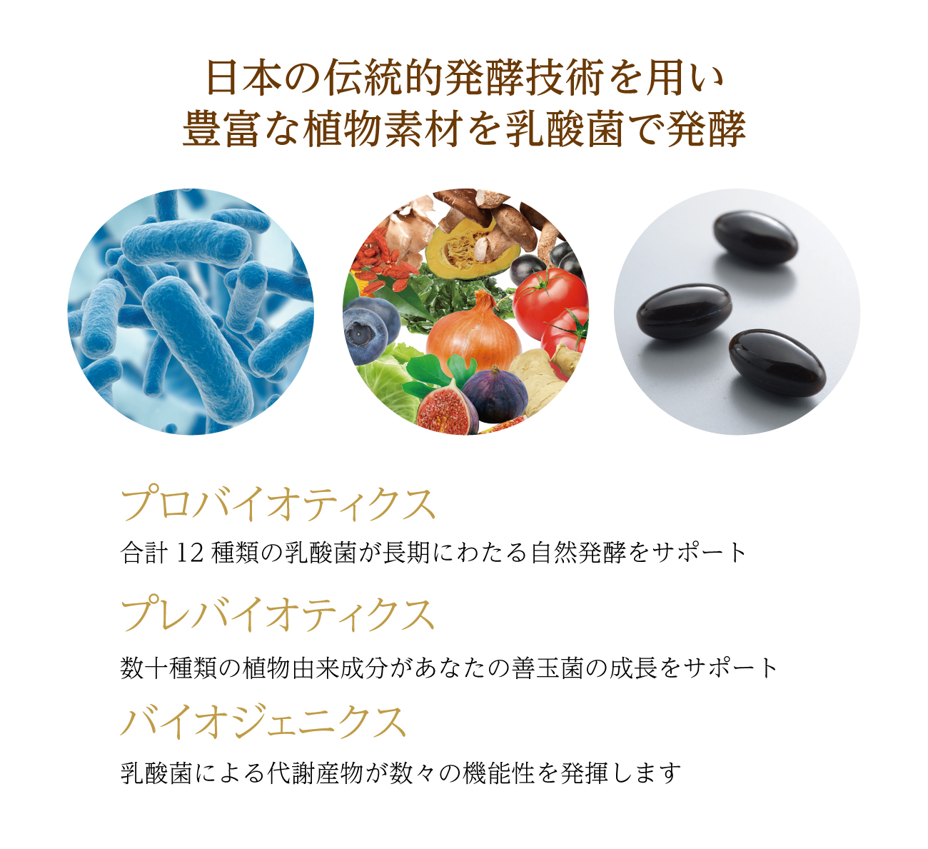 OM-XDELUXE5 100粒 x1箱 約1ヶ月分 バイオバンク 生酵素サプリ