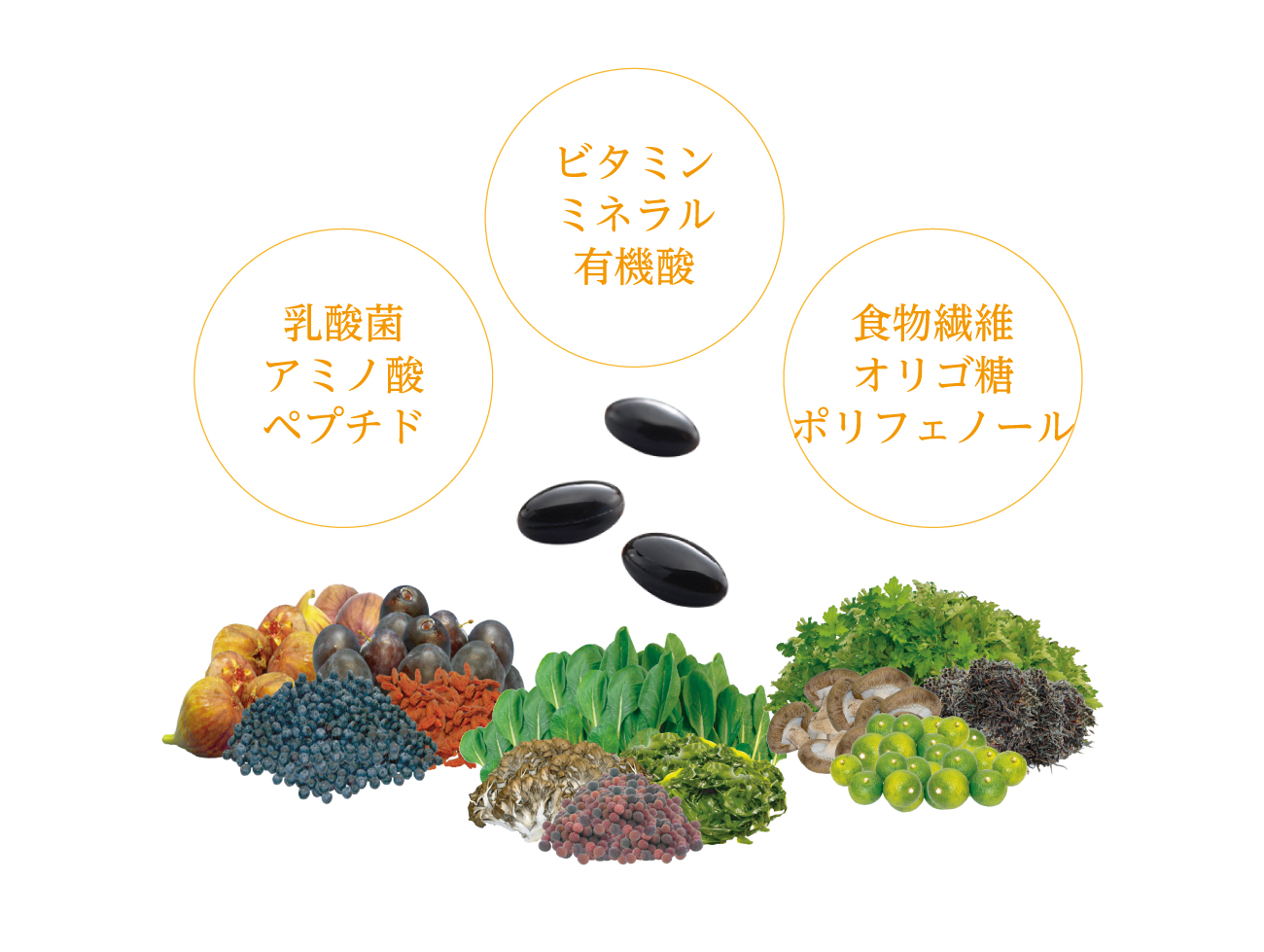OM-X生酵素 OM-XDELUXE5 100粒 x1箱 約1ヶ月分 バイオバンク 生酵素サプリ