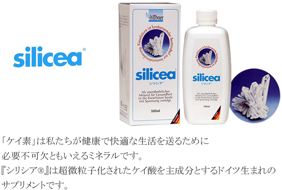 シリシア silicea 500ml 持ち運びに便利な携帯容器プレゼント中 シリカ水 珪素 ケイ素 ケイ酸 ミネラル サプリメント 珪藻エキス ドイツ  : silicea001 : ウォームフィーリング - 通販 - Yahoo!ショッピング