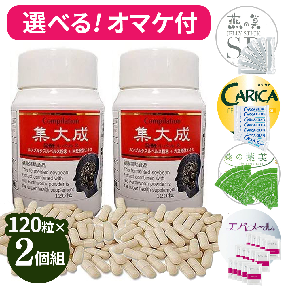集大成 発酵ルベルス 120粒×2箱 選べるおまけ付き 2個セット しゅう 