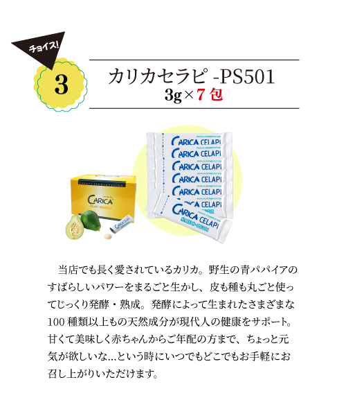 集大成 発酵ルベルス 120粒×2箱 選べるおまけ付き 2個セット 集大成 発酵ルベルス 120粒×2箱 選べるおまけ付き 2個セット