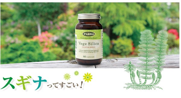 植物性シリカ　ベジシリカ　　フローラシル　FLORA社　180粒 Amazon.com: Flora - FloraSil Silica Supplement - Natural