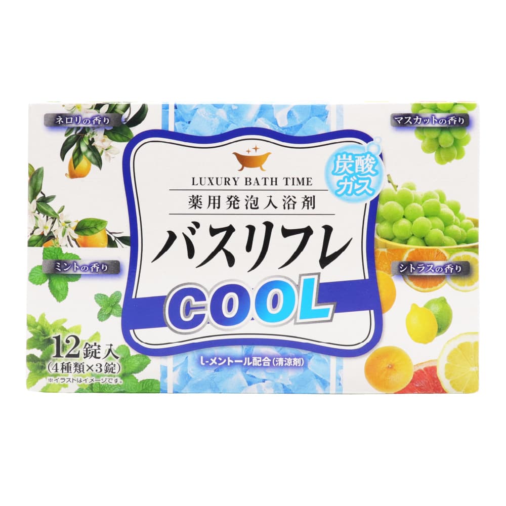 ライオンケミカル 入浴剤 薬用発泡入浴剤 バスリフレ COOL クール 4