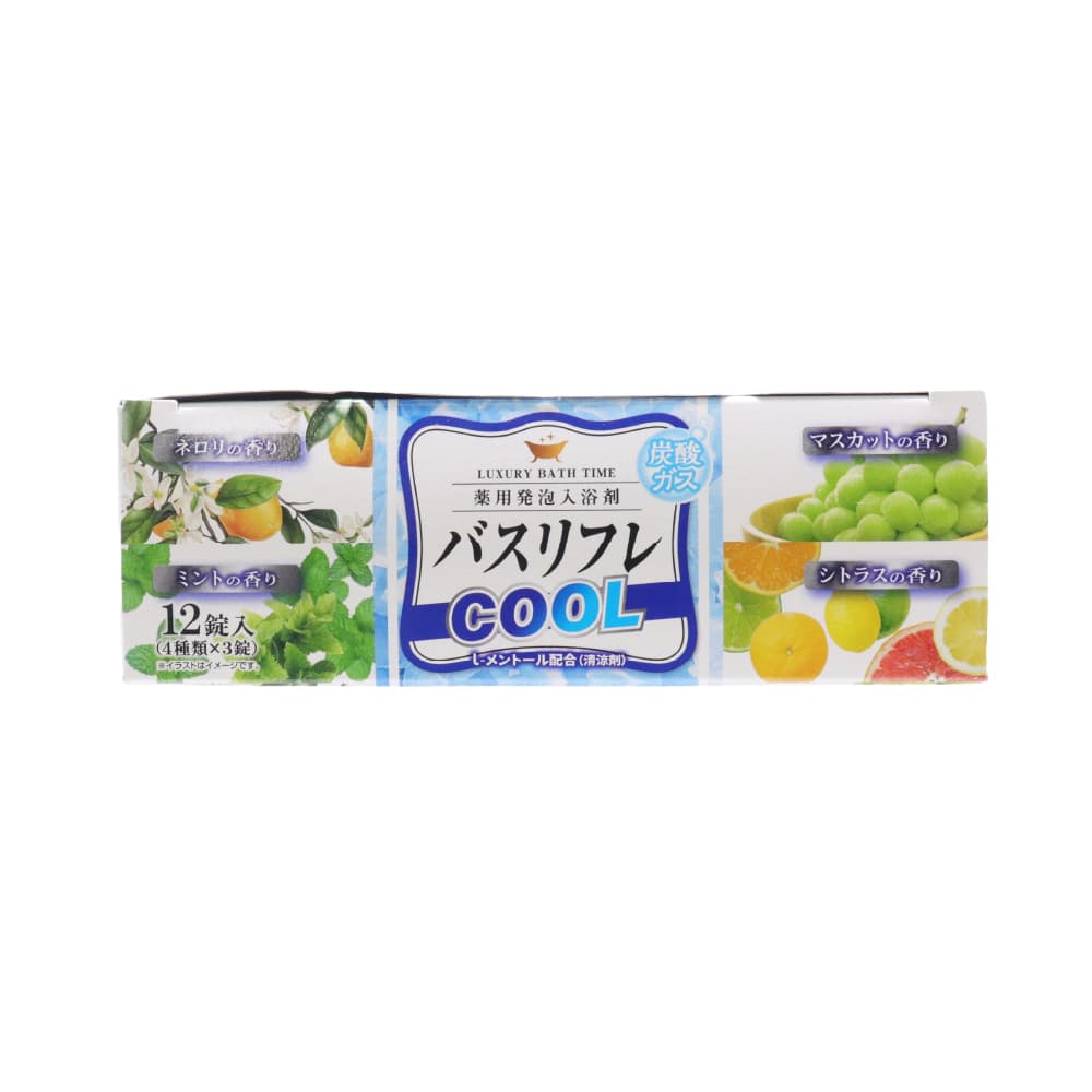 ライオンケミカル 入浴剤 薬用発泡入浴剤 バスリフレ COOL クール 4