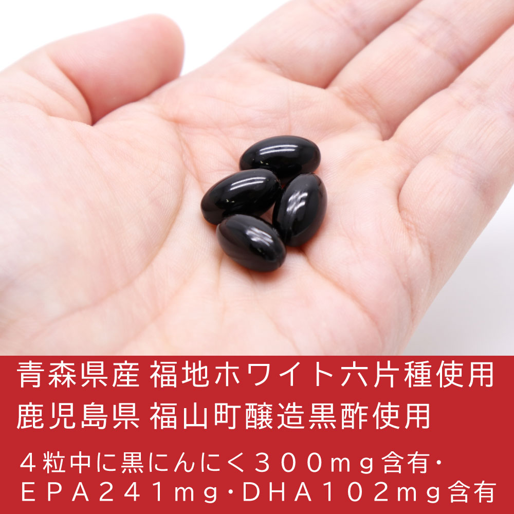 極みの発酵黒にんにく熟成黒酢 ソフトカプセル 120粒入 ×2袋 栄養補助食品 EPA DHA｜wagonsale-kanahashi｜02