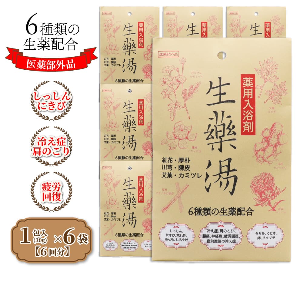 入浴剤 ギフト プレゼント 薬用入浴剤 生薬湯 1包(30g)入 ×6袋 医薬部