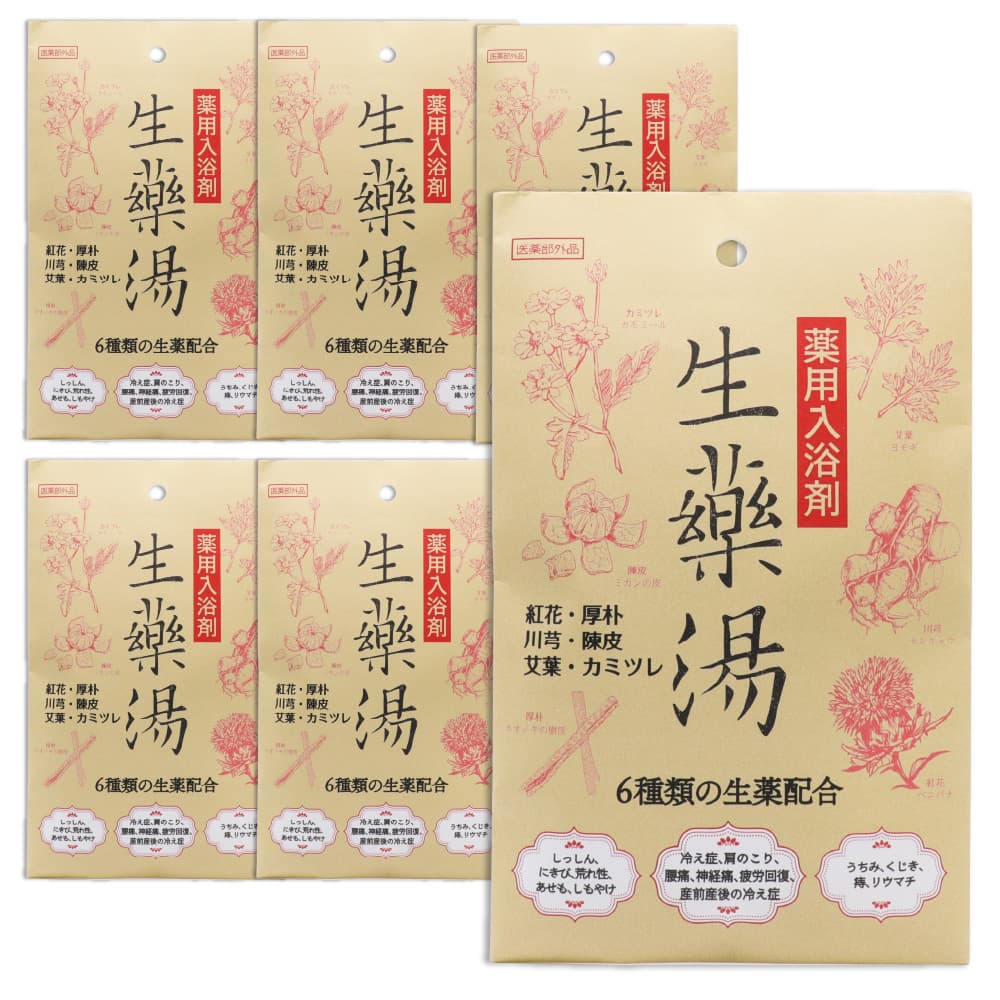 入浴剤 ギフト プレゼント 薬用入浴剤 生薬湯 1包(30g)入 ×6袋 医薬部