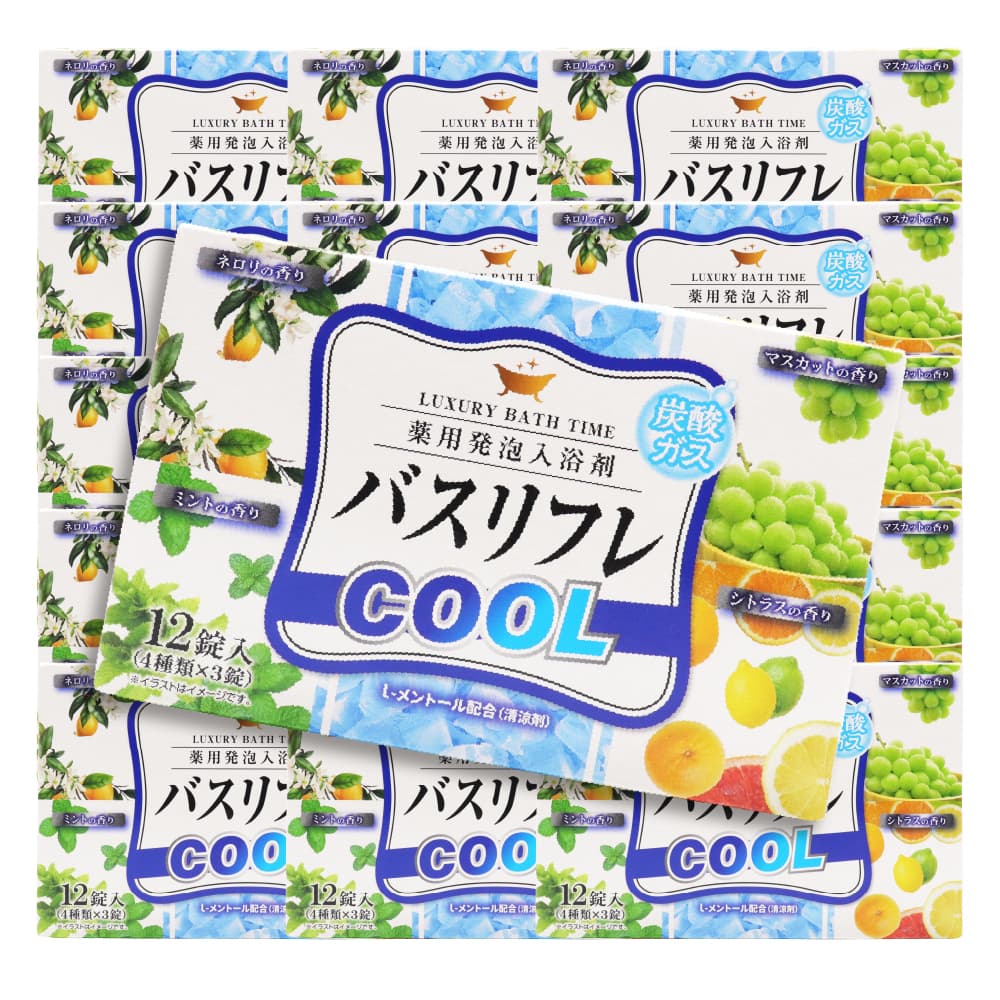 ライオンケミカル 入浴剤 薬用発泡入浴剤 バスリフレ COOL クール 4