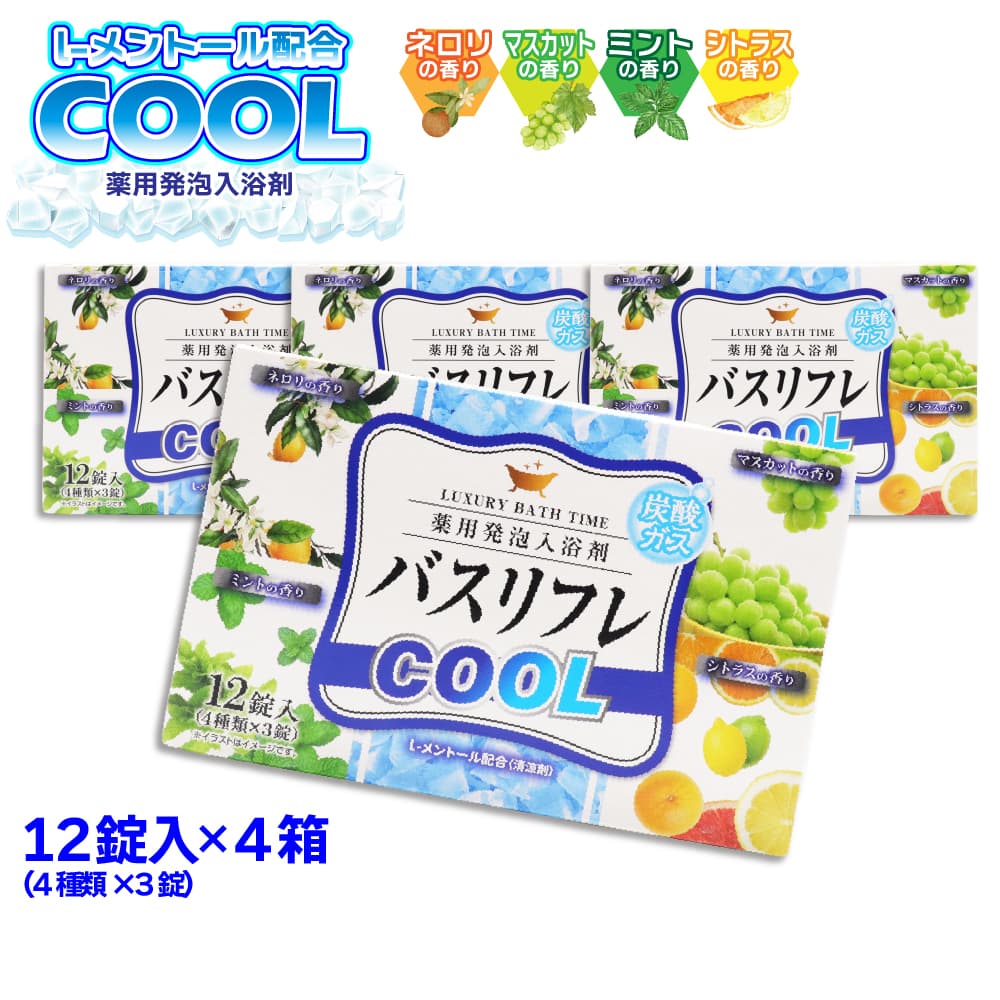 ライオンケミカル 入浴剤 薬用発泡入浴剤 バスリフレ COOL クール 4