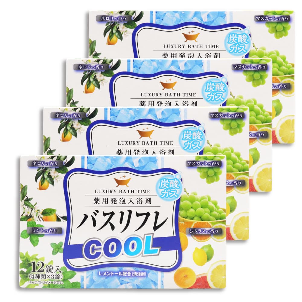 ライオンケミカル 入浴剤 薬用発泡入浴剤 バスリフレ COOL クール 4
