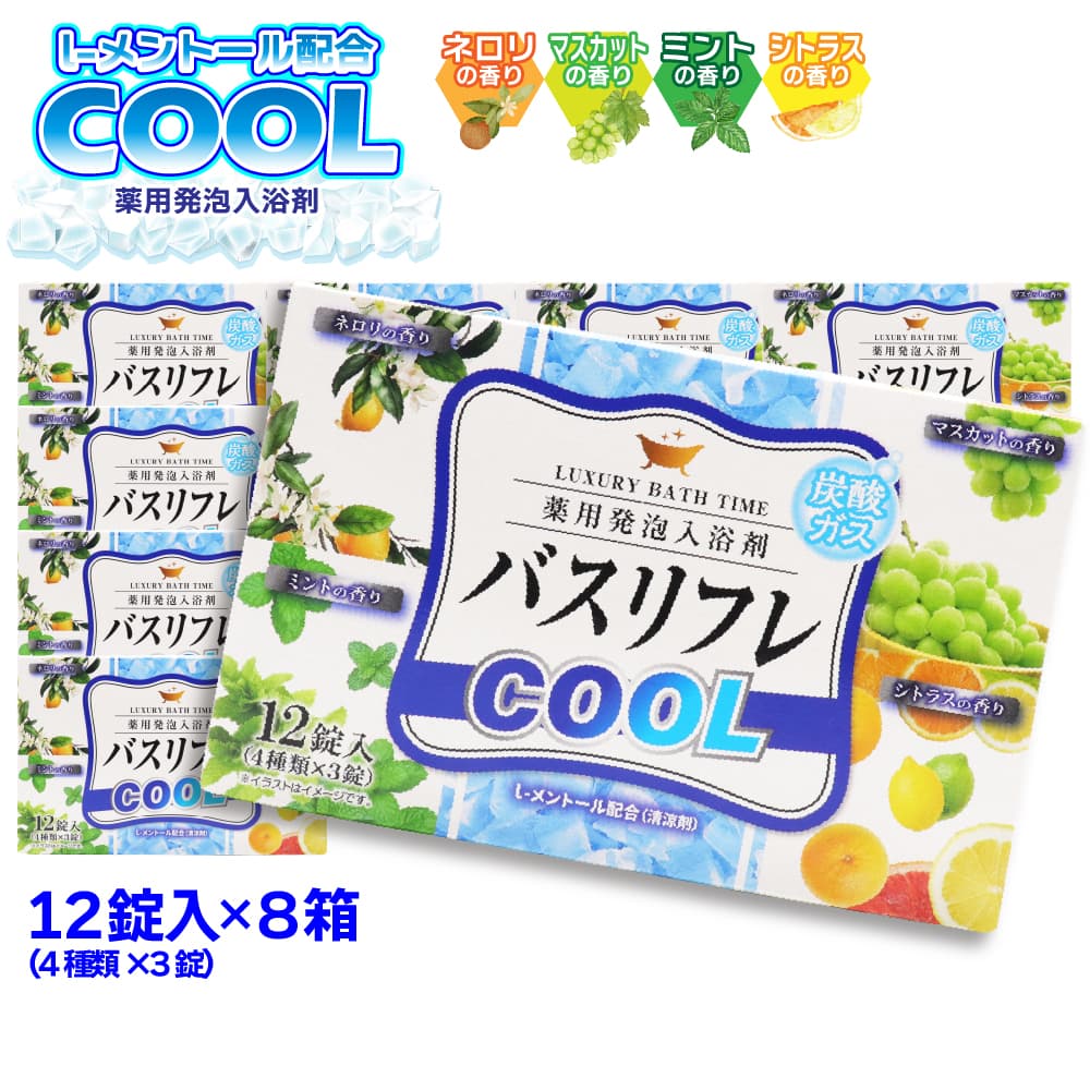 ライオンケミカル 入浴剤 薬用発泡入浴剤 バスリフレ COOL クール 4