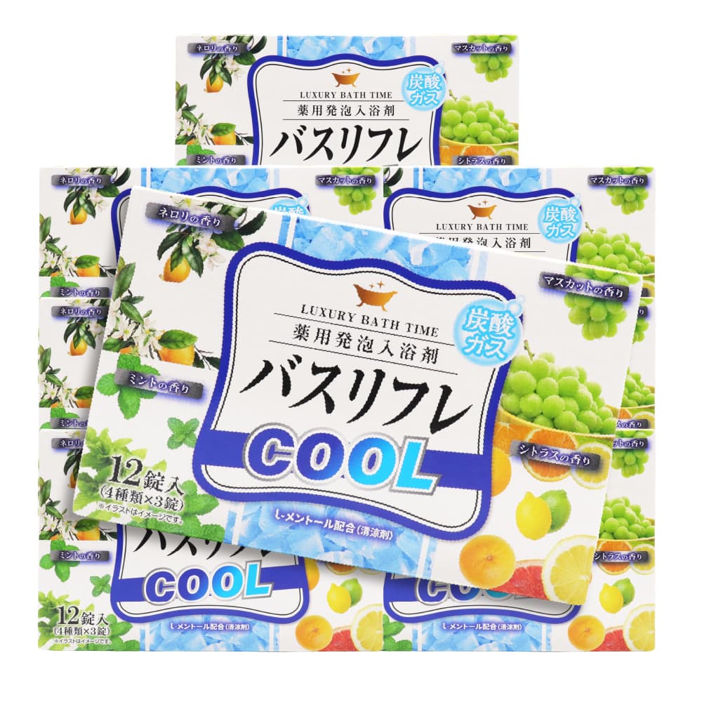 ライオンケミカル 入浴剤 薬用発泡入浴剤 バスリフレ COOL クール 4
