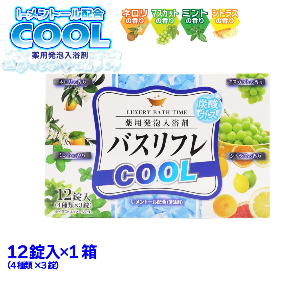 ライオンケミカル 入浴剤 薬用発泡入浴剤 バスリフレ COOL クール 4