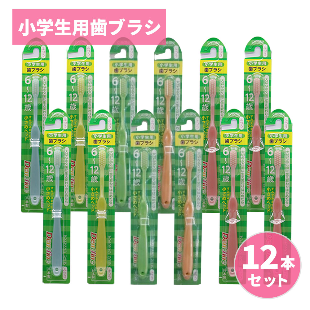 歯ブラシ 小学生用歯ブラシ ふつう 12本セット 6〜12歳 日本製 デントファイン ジュニア 子供用 お得セット