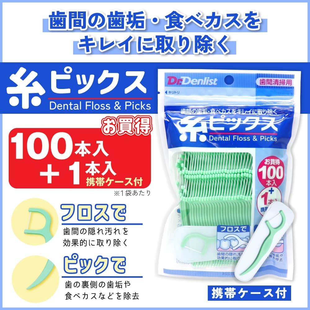 ドクターデンリスト 糸ピックス 101本入り ×20袋セット 携帯ケース付