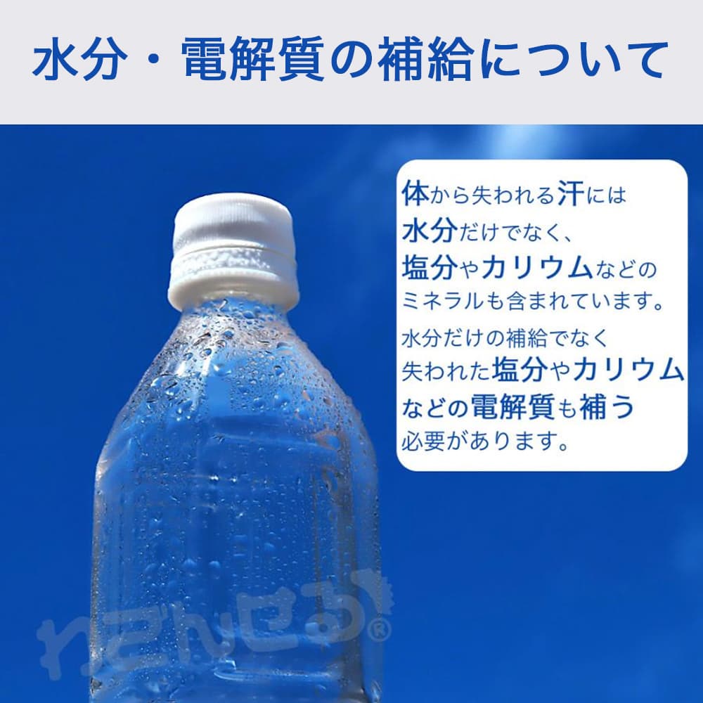 imgrc0107050177.jpg