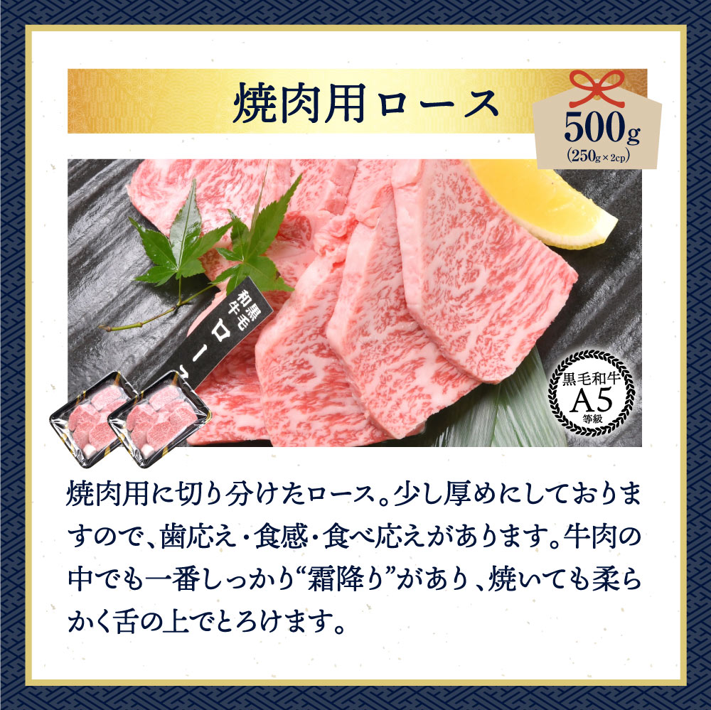 福袋 肉 牛肉 焼肉 黒毛和牛 尽くし 福袋 2.62kg すき焼き ステーキ