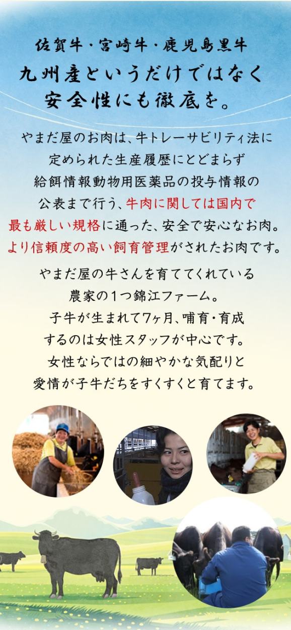 放射能検査済み 安心 国産牛 和牛 牛肉 九州産 産地直送 福岡県産 老舗 高級肉 人気ギフト 贈答