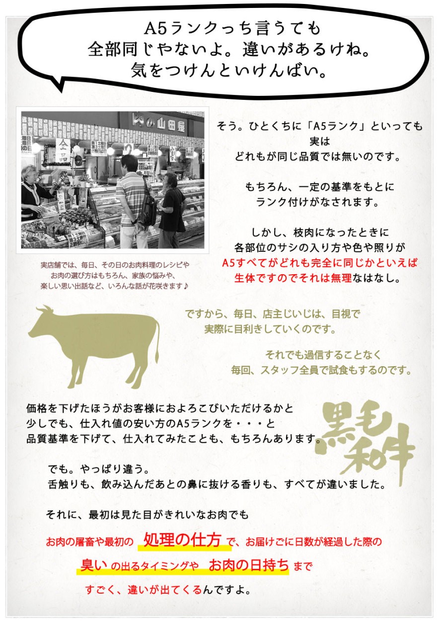 放射能検査済み 安心 国産牛 和牛 牛肉 九州産 産地直送 九州産 老舗 高級肉 人気ギフト 贈答