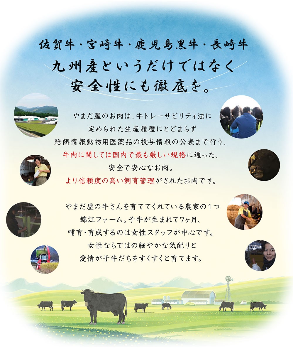 放射能検査済み 安心 国産牛 和牛 牛肉 九州産 産地直送 福岡県産 老舗 高級肉 人気ギフト 贈答