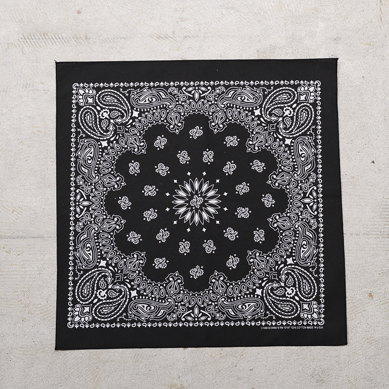 HAV-A-HANK（ハバハンク） 80097400 MADE IN U.S.A. 17 PAISLEY