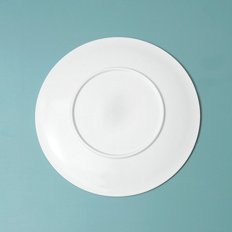 BALLISTICS バリスティクス BAA-2324 AIR FORCE PLATE L エア