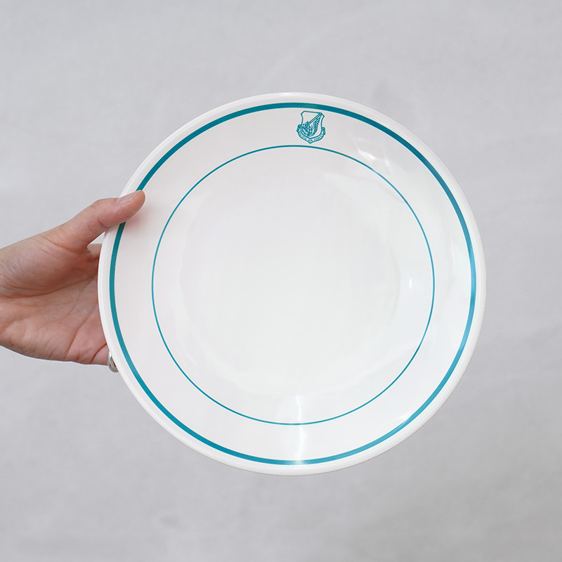 バリスティクス BALLISTICS ジュラルミンプレート 新品未使用 baa_2324_5.jpg