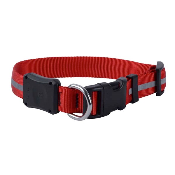 おもち⭐︎ナイトアイボーテ5点セット NITE IZE ナイトアイズ LIGHT UP DOG COLLAR ライトアップ