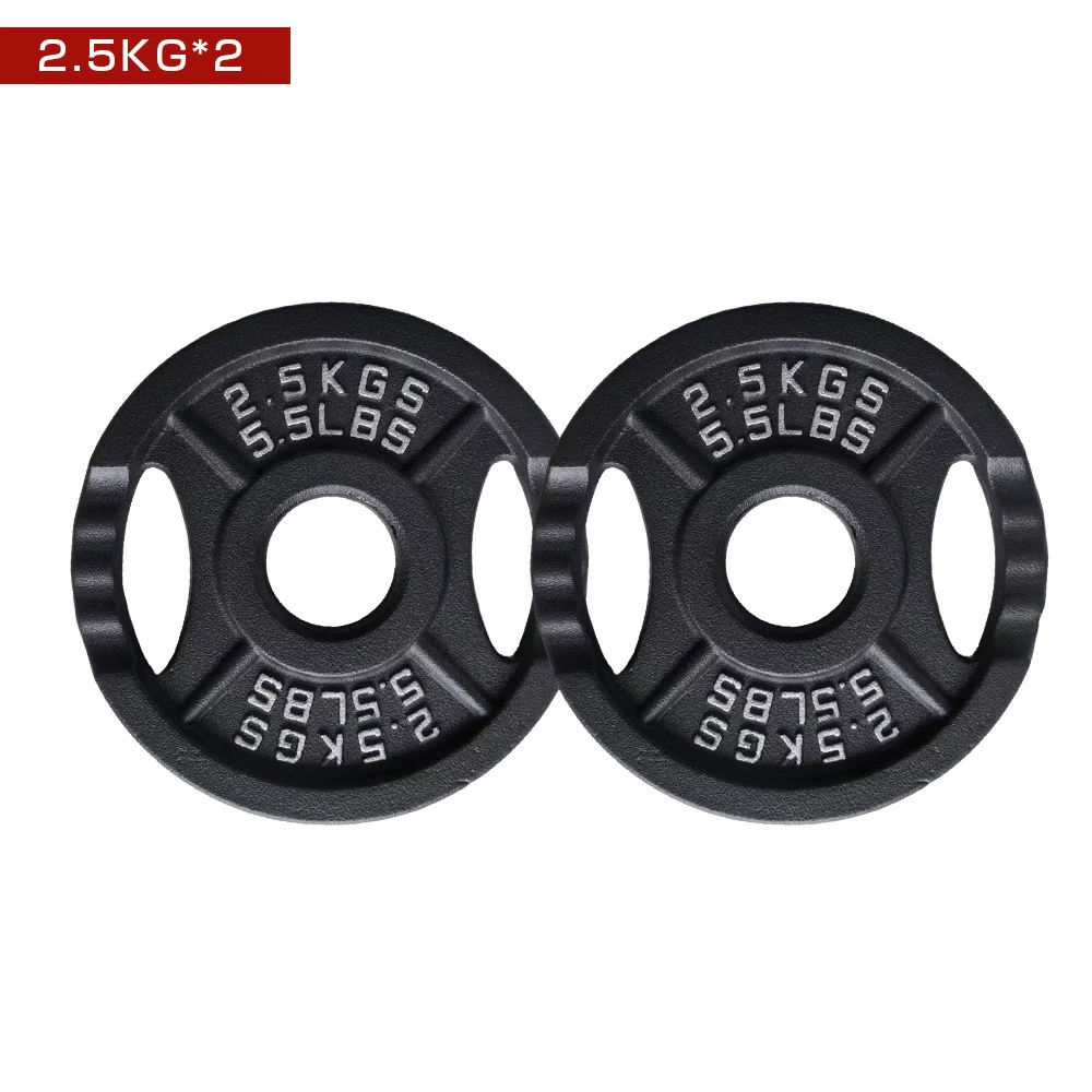 バーベル プレート 10kg 2枚セット 穴直径28mm | STBRIGID.ORG.UK