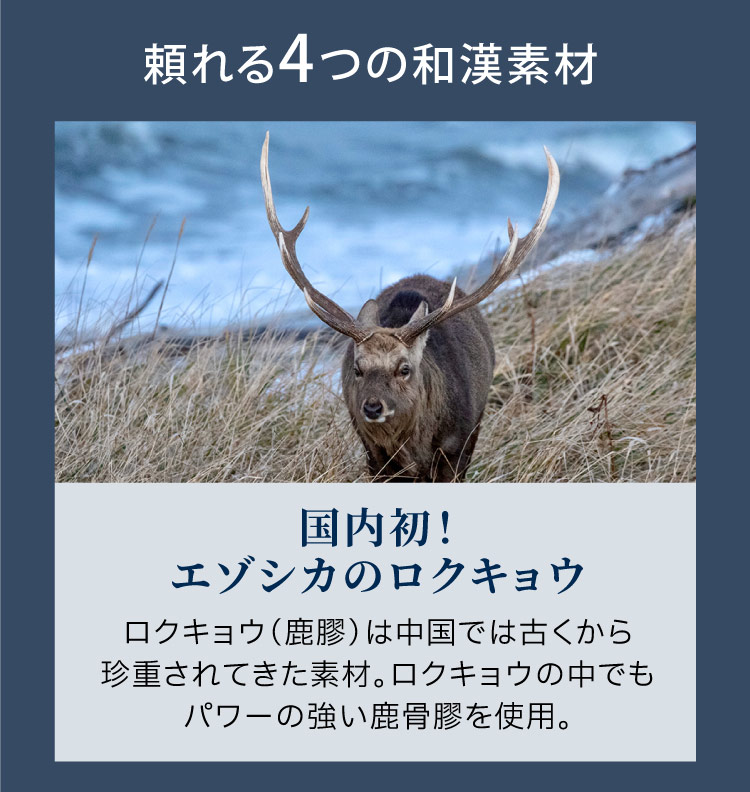 国内初！エゾシカのロクキョウ