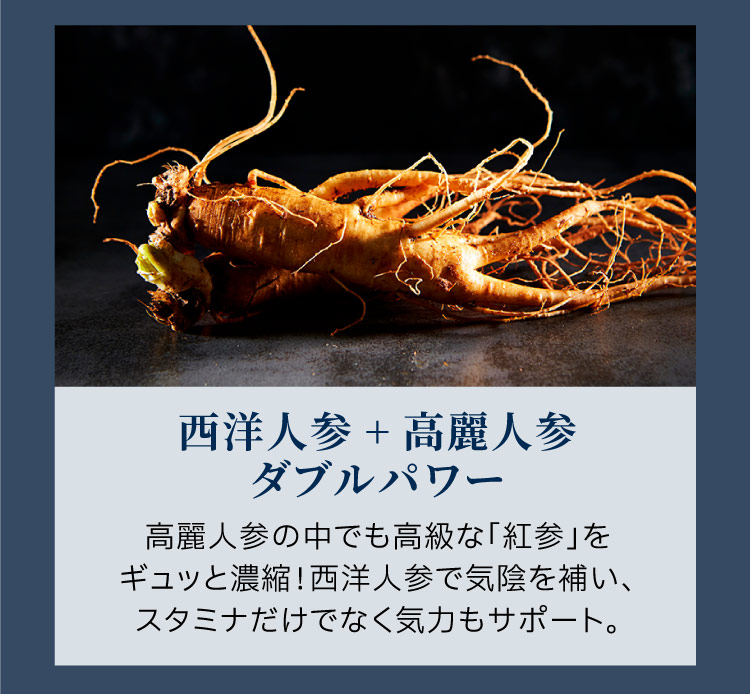 西洋人参、高麗人参