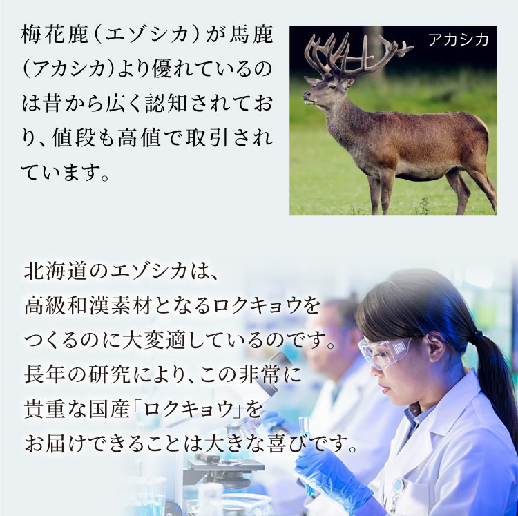 高級和漢素材ロクキョウ