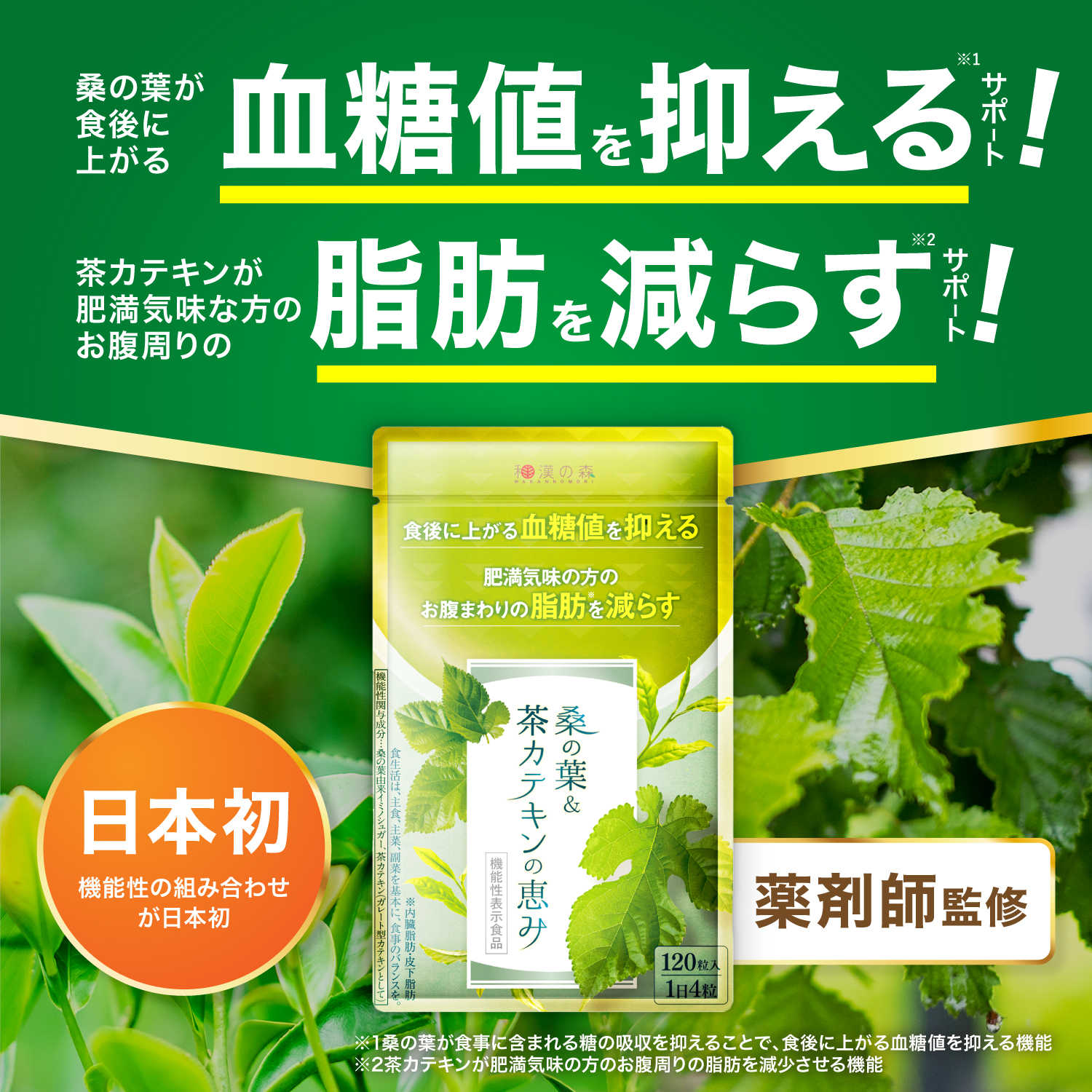 和漢の森　桑の葉 茶カテキン 120粒 国産お腹の脂肪を減らす ×3袋　a 和漢の森 ダイエットサプリ 血糖値 サプリ ダイエット 内臓脂肪