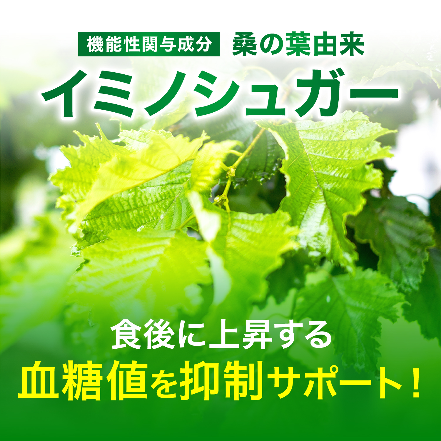 ダイエットサプリ