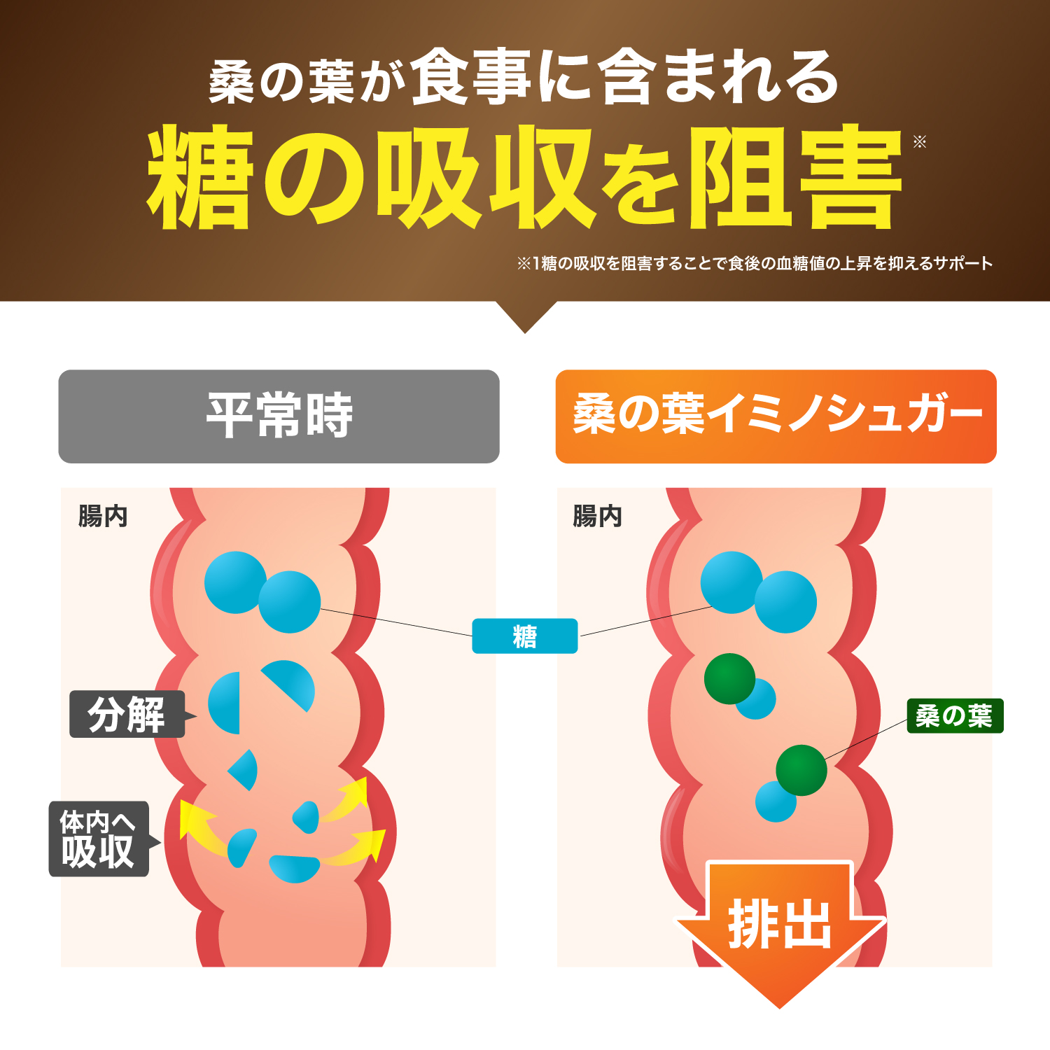 ダイエットサプリ