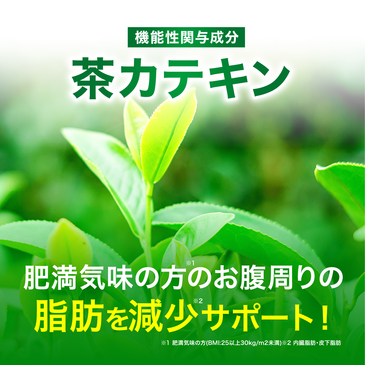 ダイエットサプリ