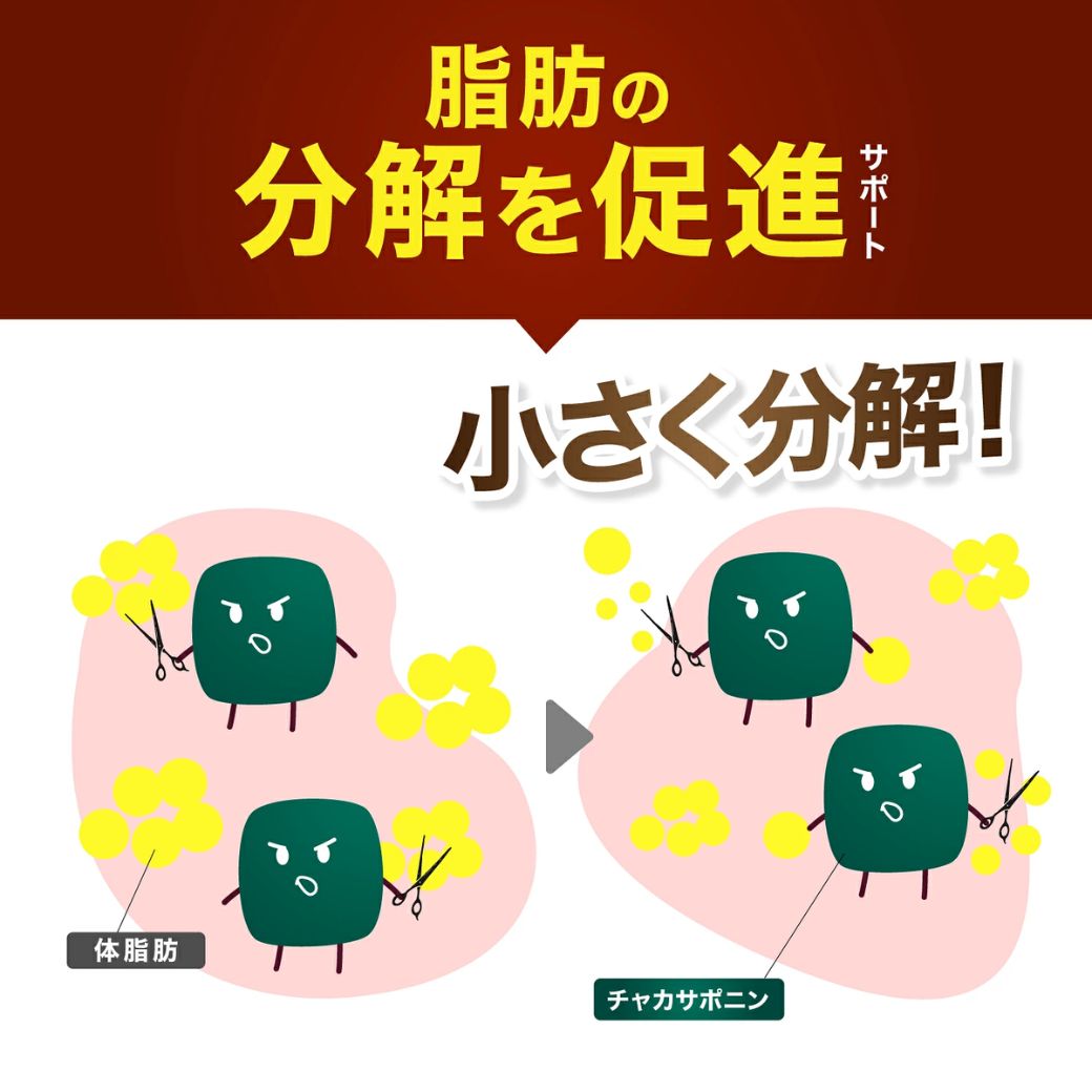 和漢の森 ダイエット サプリ 中性脂肪 サプリメント チャカサポニン 体